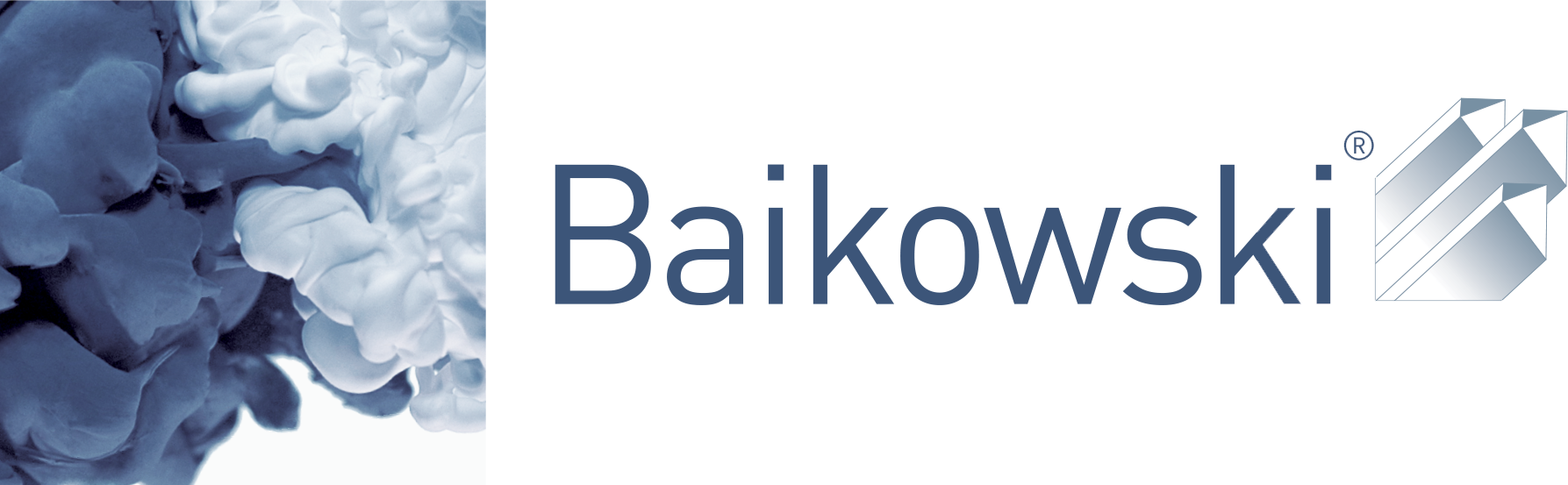 Baikowski_blocmarque Baikowski_blocmarque